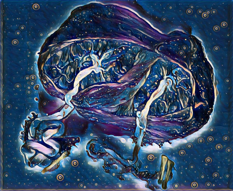 Art image of a twin placenta.  Your baby's universe.  Copyright Kelly Harper @ elemental beginnings