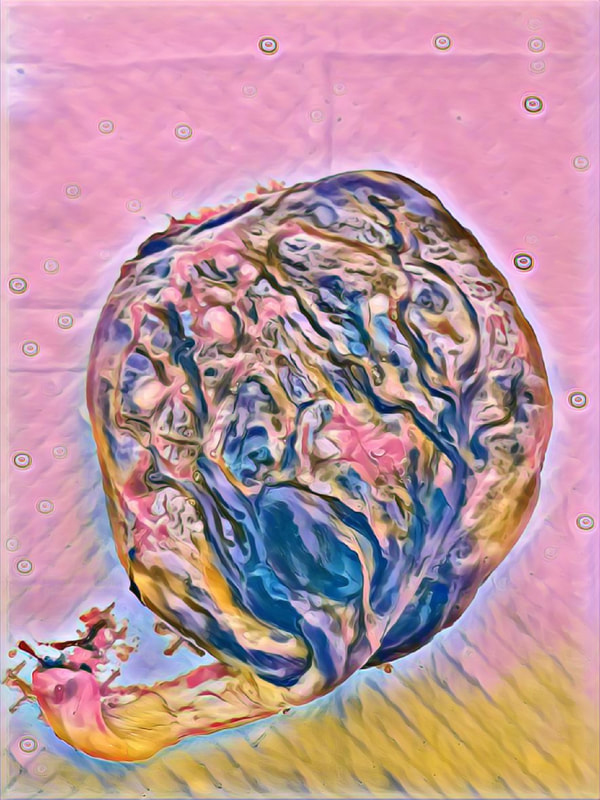 Digital print of a human placenta in pastel shades of pink, blue and yellow.  Image shows the umbilical cord and blood vessels on the baby's side of the placenta.  Taken by Kelly at Elemental Beginnings