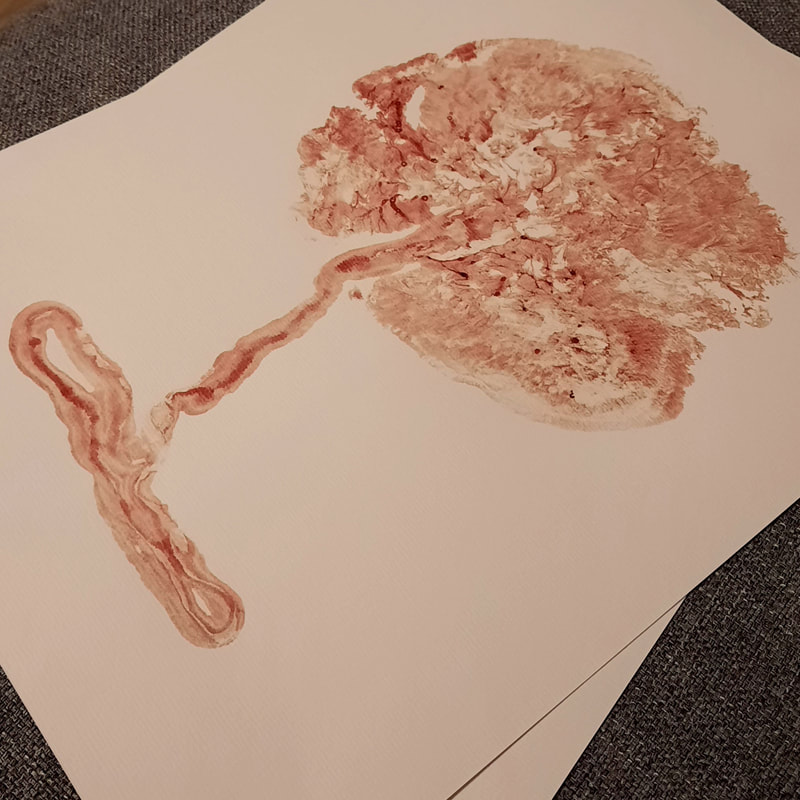 Natural blood print of a placenta on A3 paper.  Show your child what their placenta looked like and how it kept them nurtured in your womb.  Print by Kelly at Elemental Beginnings, Adelaide Doula & Placenta Encapsulation Specialist