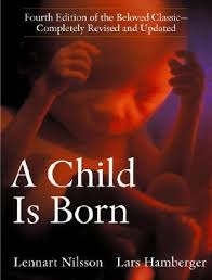 Available for borrowing by clients of Elemental Beginnings Doula "A child is born" book by Lennart Neilsen